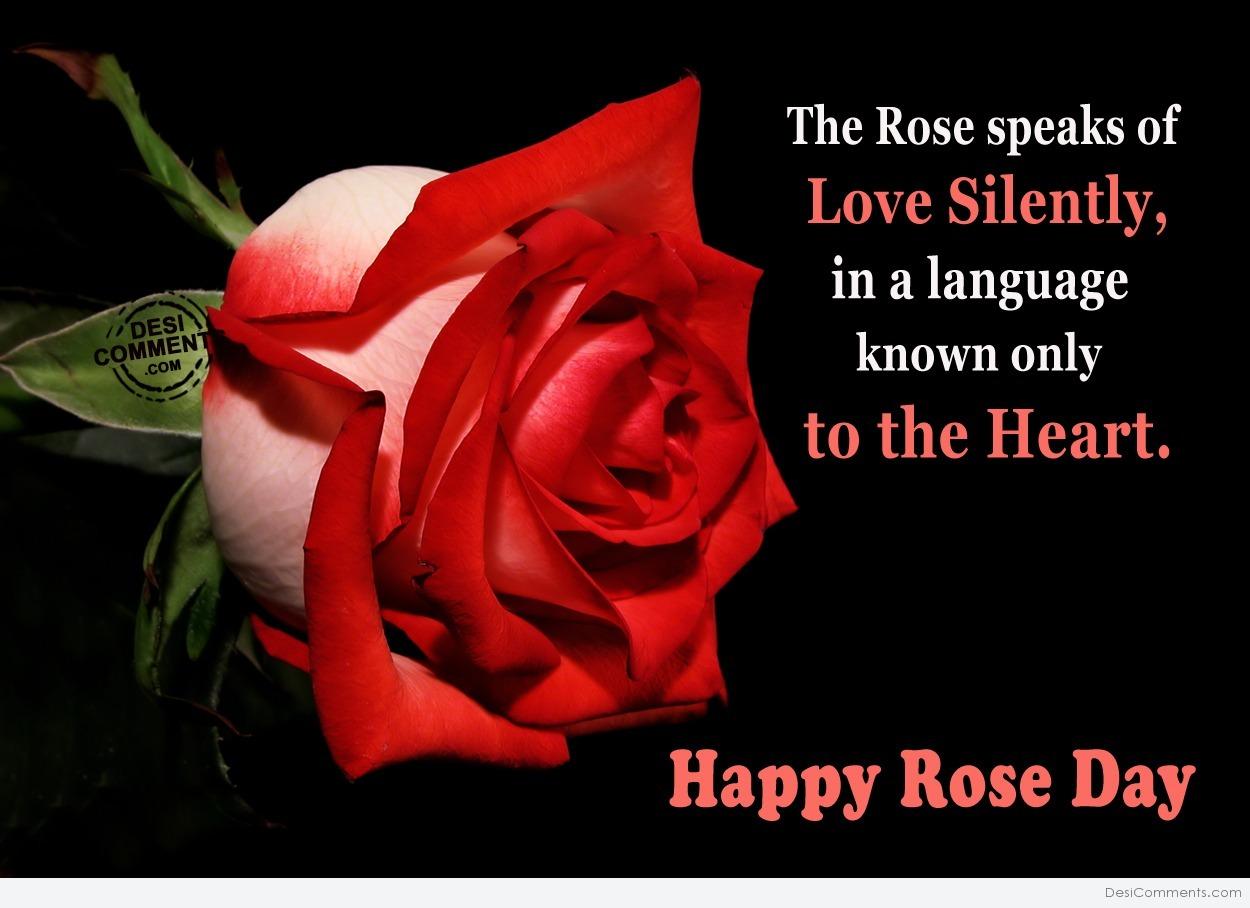 Speaking roses. Rose Day.