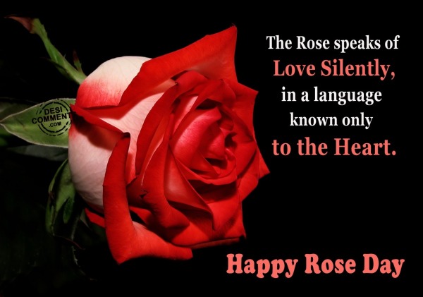 Happy Rose Day - The rose speaks of love silently...