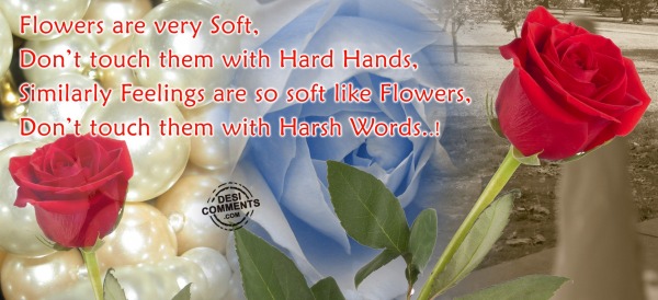 Flowers Are Very Soft…