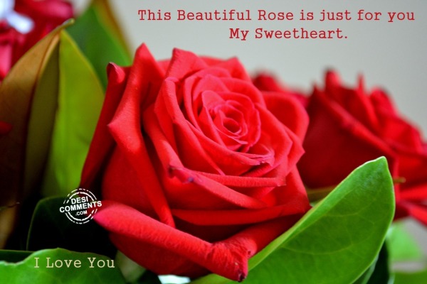 This beautiful rose is just for you my sweetheart