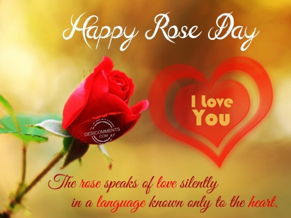 The rose speaks of love…