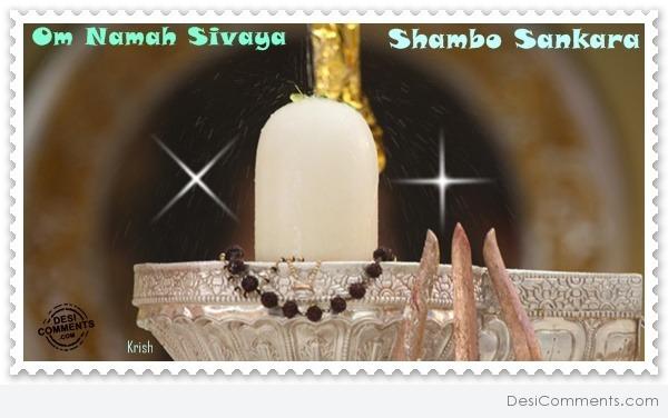Om Namah Sivaya - Shambo Sankara