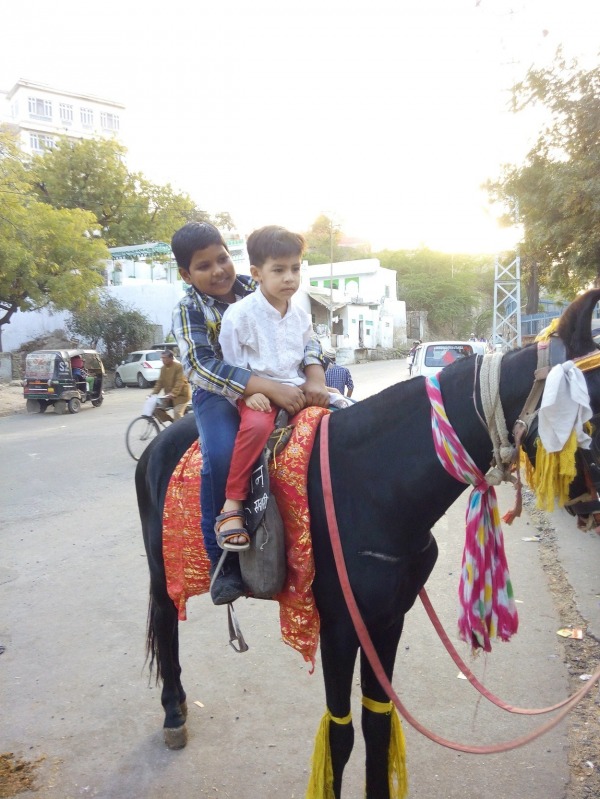 Boy’s Horse Riding