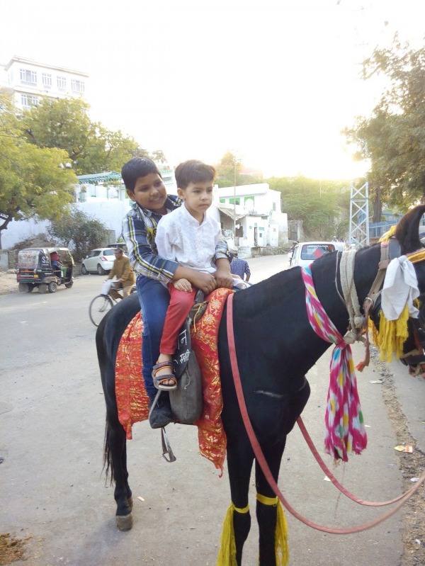 Boy's Horse Riding 