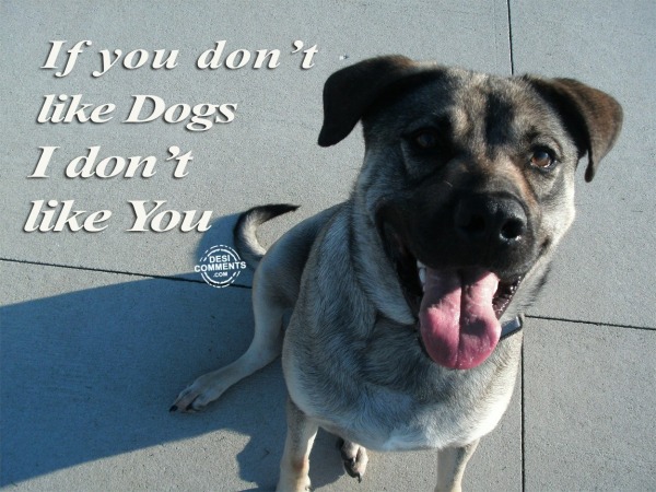 If You Don’t Like Dogs