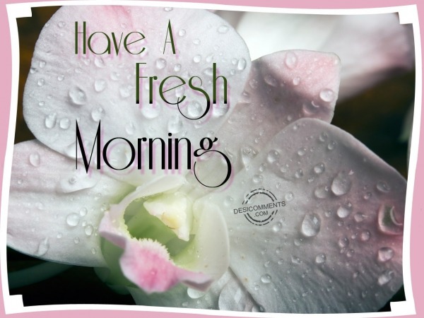 Have a fresh morning