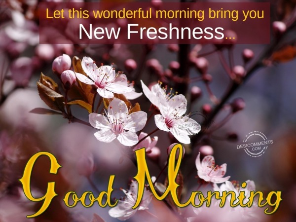 Let this wonderful morning bring you new freshness