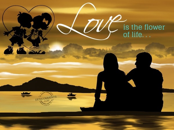 Love is the flower of life