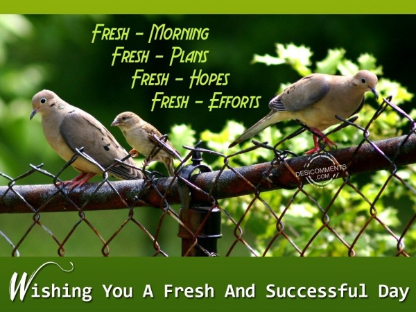 Wishing you a fresh and successful day