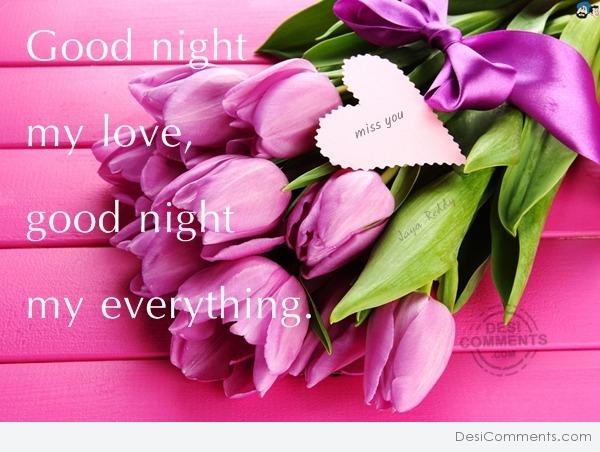 Good night my love