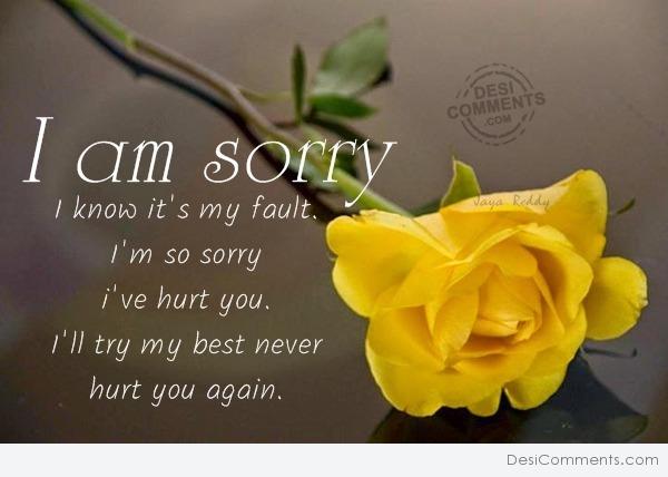 I am Sorry - DesiComments.com