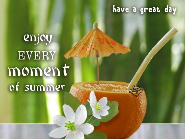 Enjoy every moment of summer
