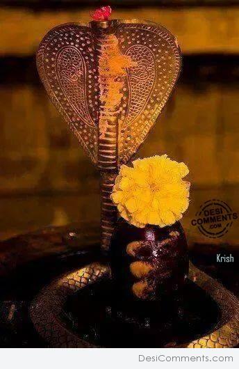 Happy Nag Panchami