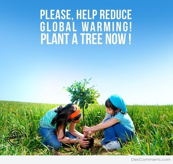 Plant A Tree Now