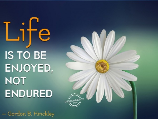 Life Is Not To Be Endured