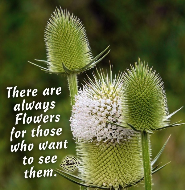 There are always flowers