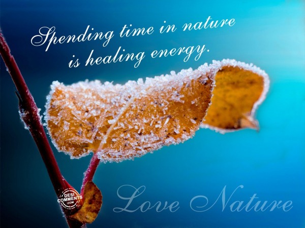 Love Nature