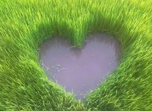 Nature Heart