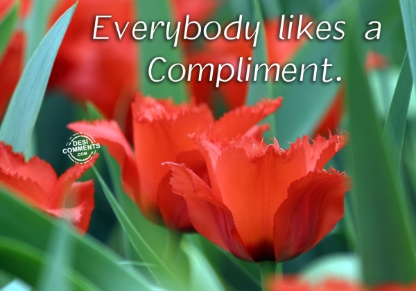 Everyboady likes a compliment