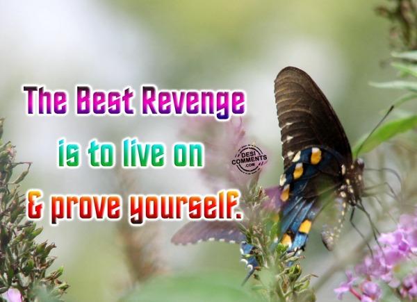 Best revenge
