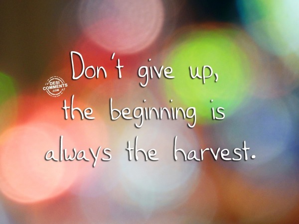 Dont give up