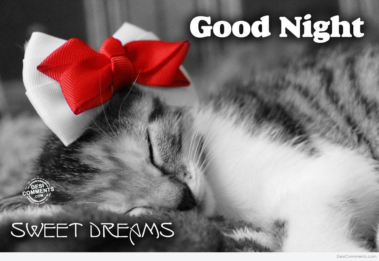 Good Night cat - DesiComments.com