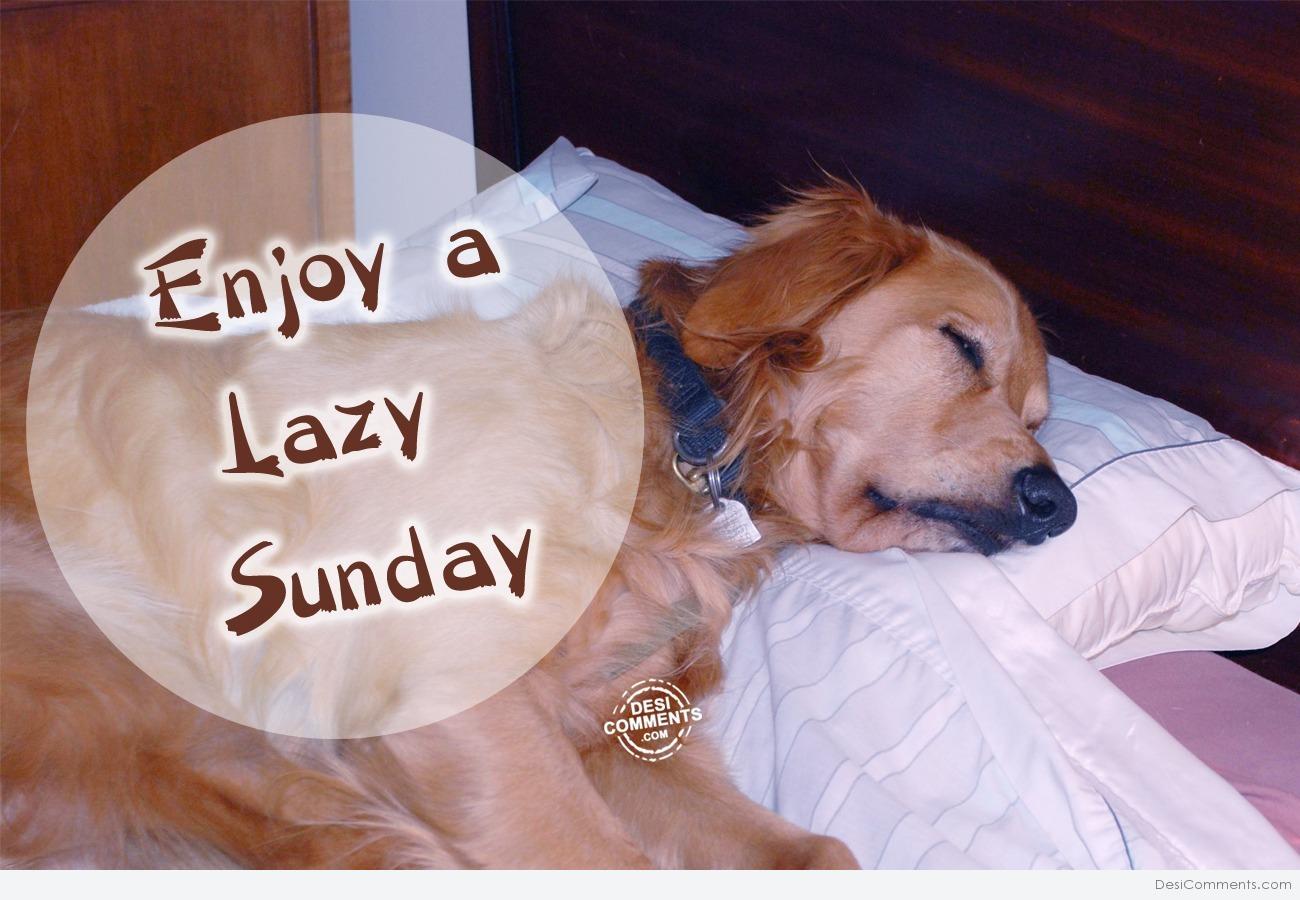 Lazy Sunday - DesiComments.com