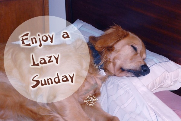 Lazy Sunday