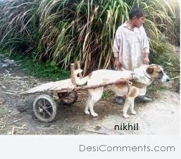 Dog With Cart