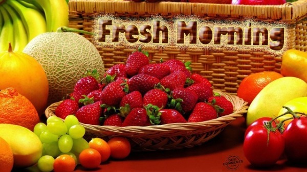 Fresh Morning