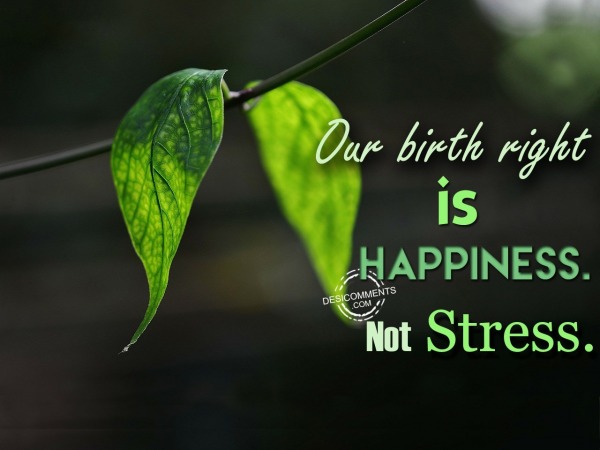 Our bright right is happiness not stress