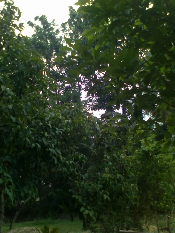 Uttar Durgapur Sitalapara