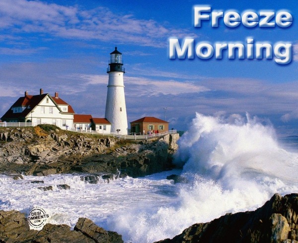 Freeze Morning