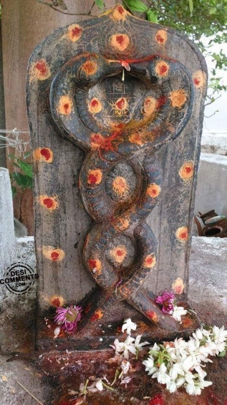 Nag Panchami