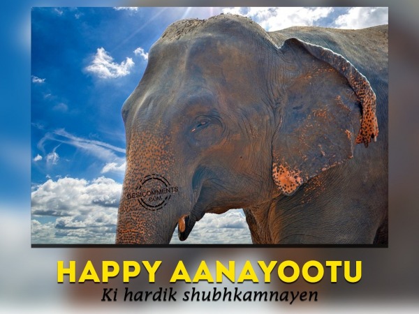 Happy-Aanayoottu