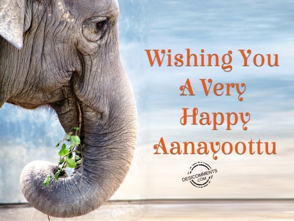 Wishing You Very Happy Aanayoottu