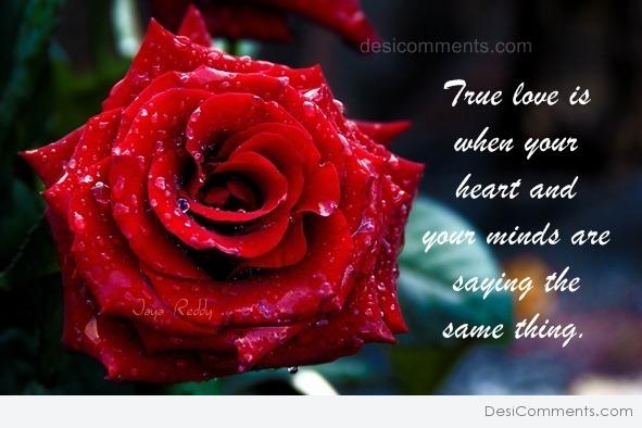 True love will always find a way to come back - DesiComments.com