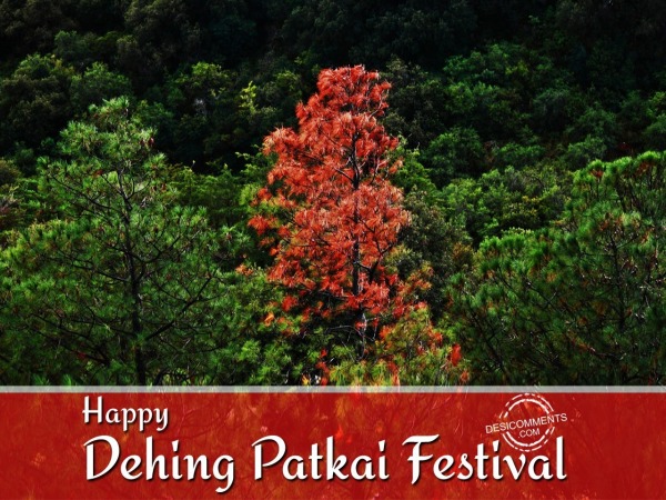 Photos for Dehing Patkai Festival