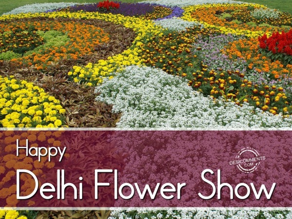 Delhi Flower Show