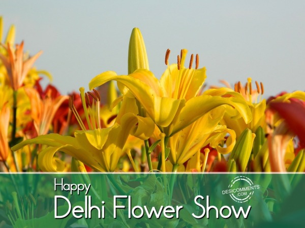 Wishes for Delhi Flower Show