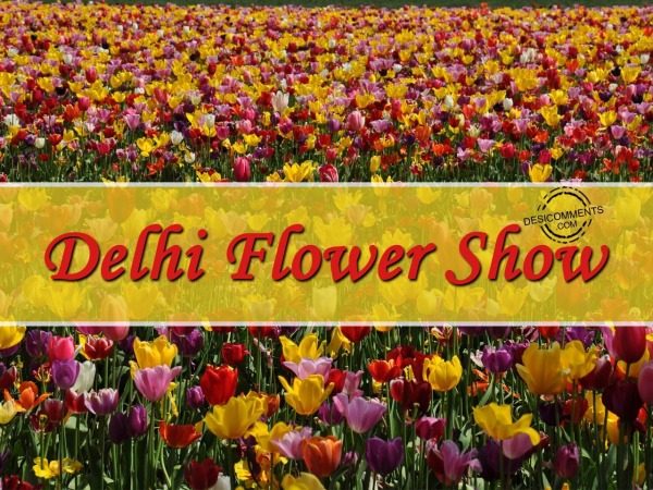 Wishing you happy Delhi Flower Show