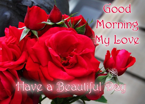 Good Morning with Roses