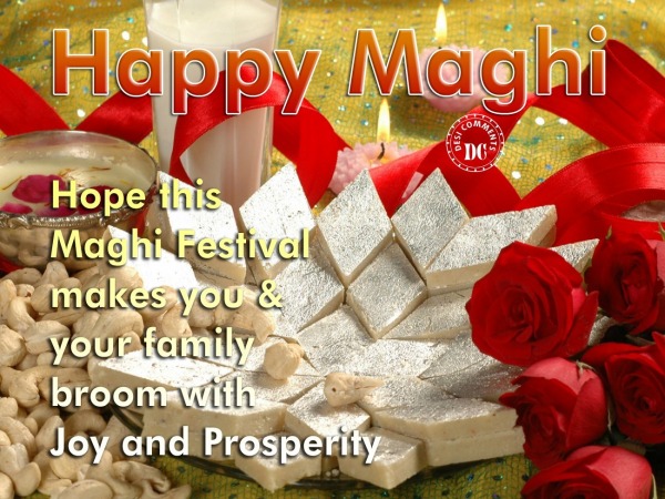 Happy Maghi