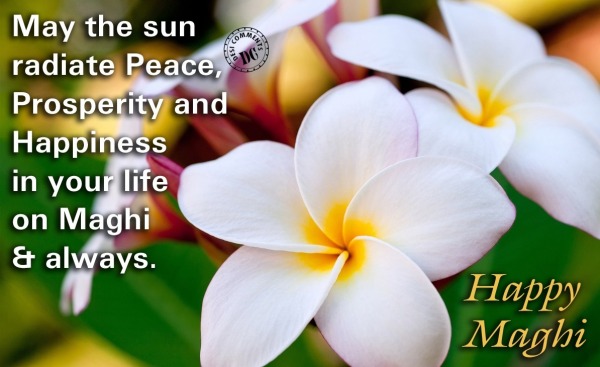 May the Sun radiate peace