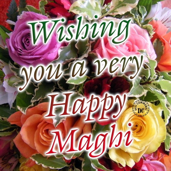 Wishing you a Very happy Maghi