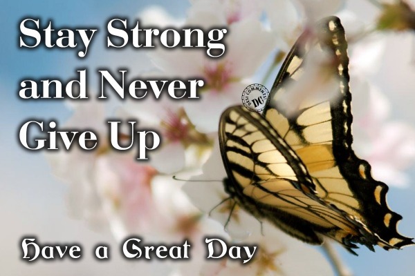 stay strong and never give up