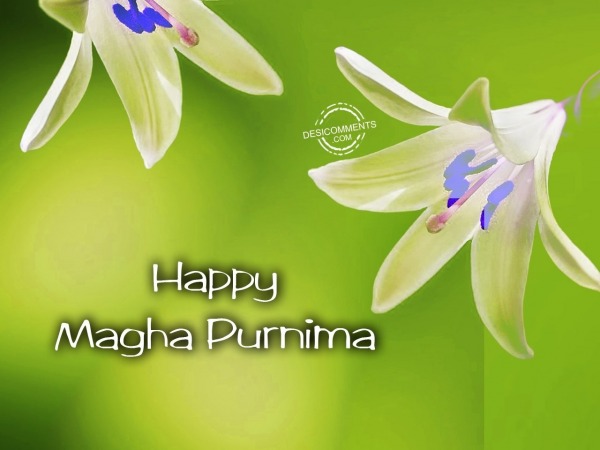 Best Wishes On Magha Purnima