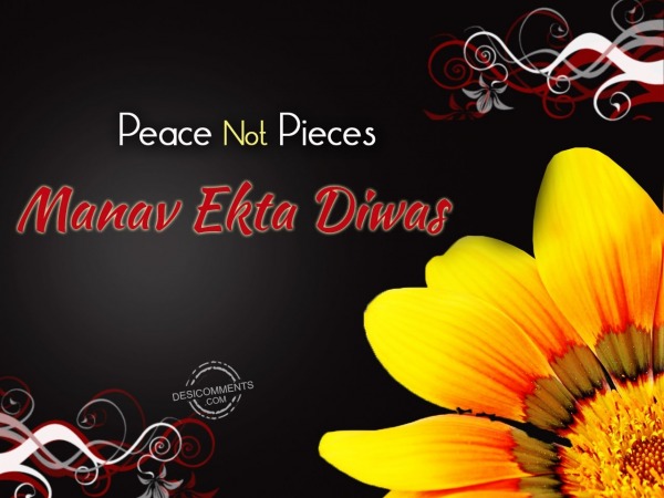 Peace not pieces