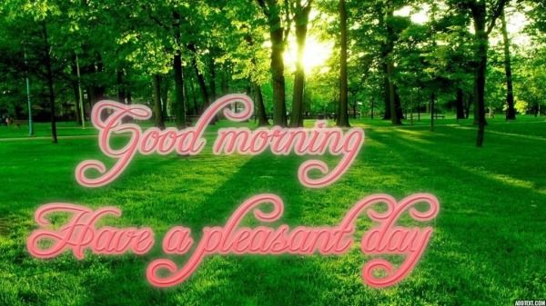 Good morning