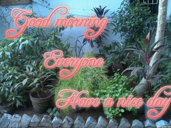 Good morning